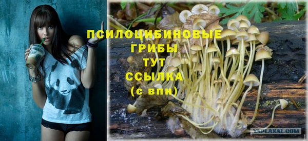 PSILOCYBIN Алзамай