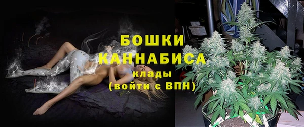 сатива Россошь
