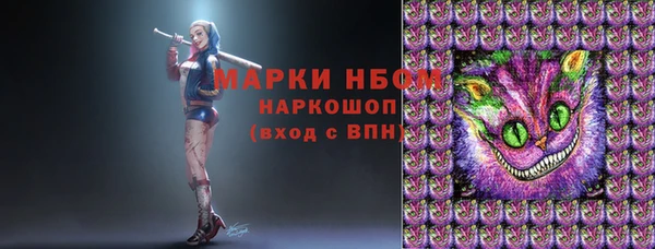 PSILOCYBIN Алзамай