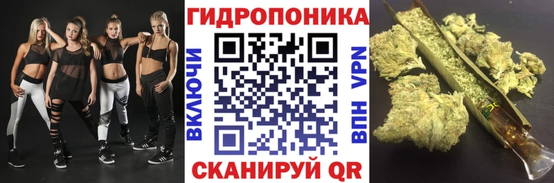 Бошки марихуана семена Кировград